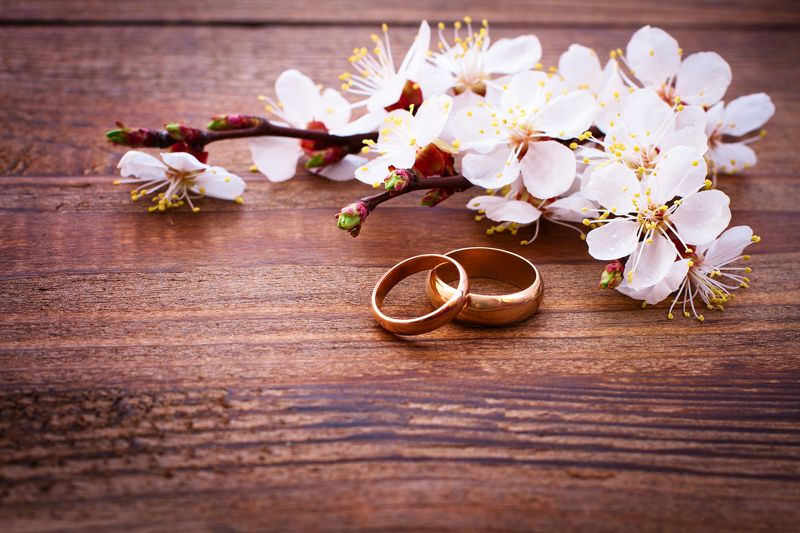 Crafting Your Dream Wedding in Redmond, WA: A Comprehensive Guide